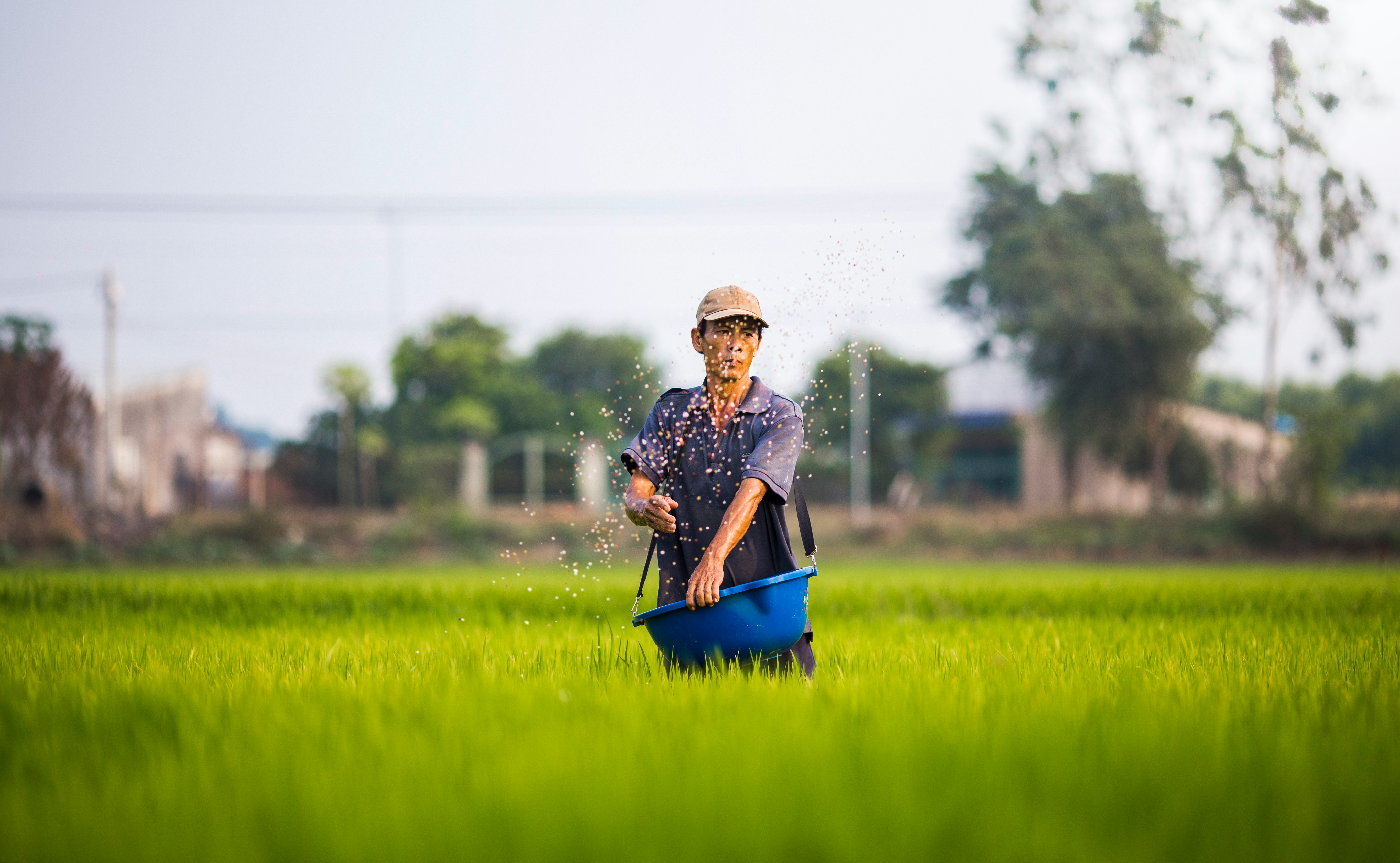 Irrigation technique